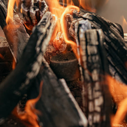ECOLIGHTER Professional Fire Starters – Up to 500°C | For BBQ, Grill, Plancha, Sauna & Fireplace-Brasaflame.com